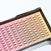 5D Premade Volume Fans Lashes 12 Rows 120 Fans (Pointy Base) seerbeauty